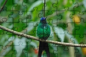 Foto jigsaw puzzle