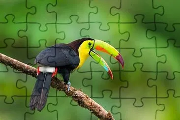 Foto jigsaw puzzle