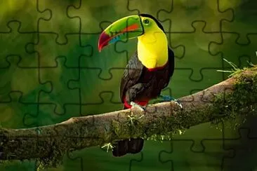 Foto jigsaw puzzle