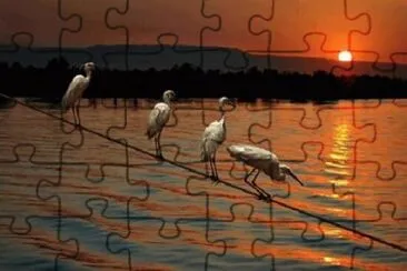 Foto jigsaw puzzle