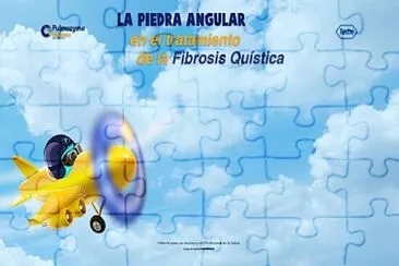 PULMOZYME - AVIÓN jigsaw puzzle