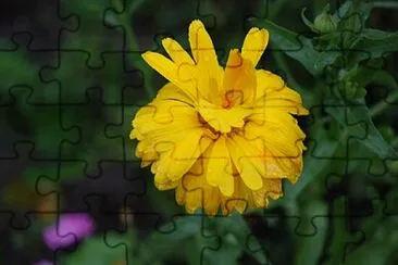 token jigsaw puzzle