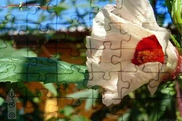 Foto jigsaw puzzle