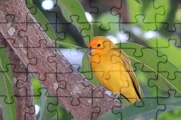 Toy jigsaw puzzle