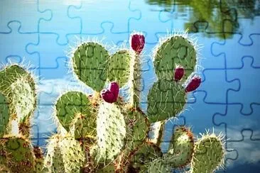 Foto jigsaw puzzle