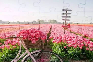 Holanda jigsaw puzzle