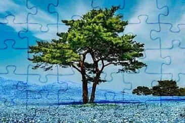 Foto jigsaw puzzle