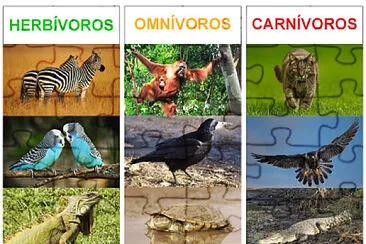 animales herbivoros carnivoros y omnivoross jigsaw puzzle