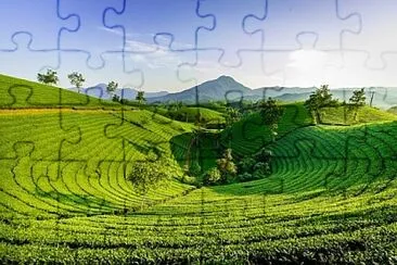 Foto jigsaw puzzle