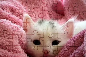 Foto jigsaw puzzle