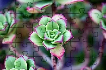 Foto jigsaw puzzle