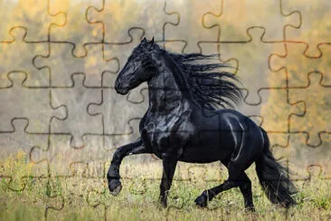 cavalo jigsaw puzzle