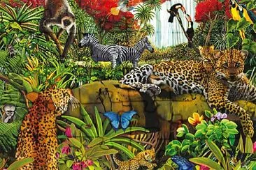 Animaux de jungle