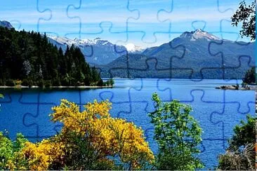 Toy jigsaw puzzle