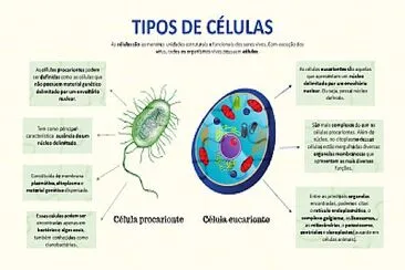 Tipos de Células