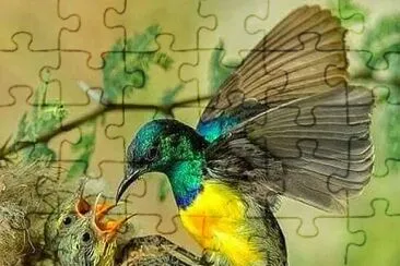 imagem jigsaw puzzle