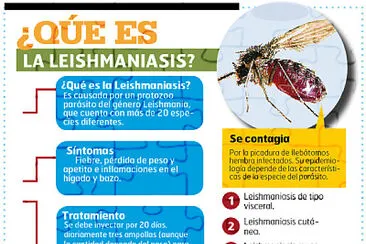 ROMPECABEZAS PARÁ DIVERTIRSE Y APRENDER