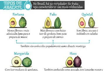 FRUTAS - ABACATE