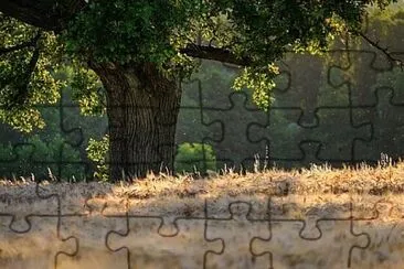 Foto jigsaw puzzle