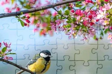 animal jigsaw puzzle