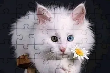 288 jigsaw puzzle