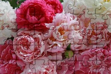 flores jigsaw puzzle