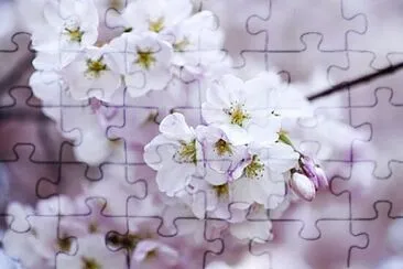 Foto jigsaw puzzle