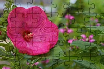 Foto jigsaw puzzle