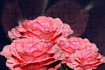 Foto jigsaw puzzle