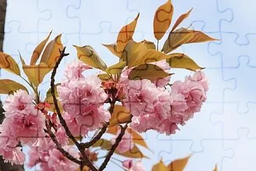 Foto jigsaw puzzle