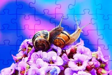 Foto jigsaw puzzle