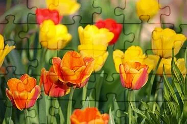 Foto jigsaw puzzle