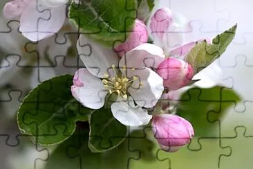 Foto jigsaw puzzle