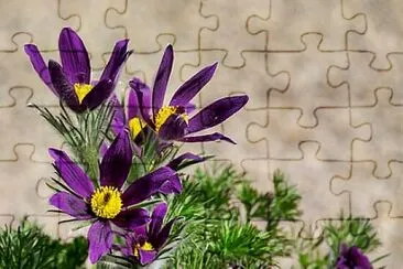 Foto jigsaw puzzle