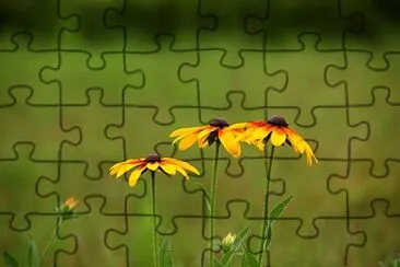 Foto jigsaw puzzle