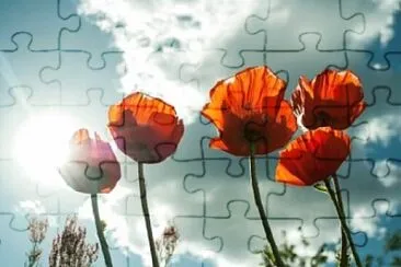 Foto jigsaw puzzle