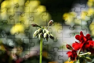 Foto jigsaw puzzle