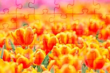 Foto jigsaw puzzle