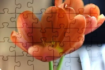 Foto jigsaw puzzle