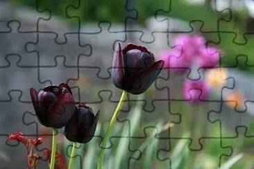 Foto jigsaw puzzle