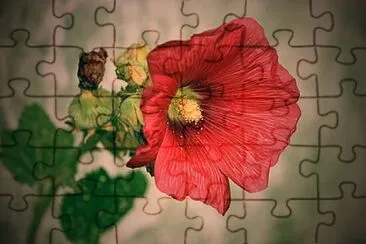 Foto jigsaw puzzle