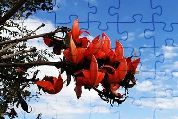 Foto jigsaw puzzle