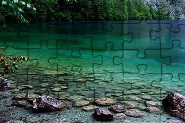 top jigsaw puzzle