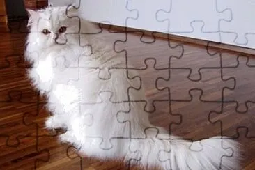 Toy jigsaw puzzle