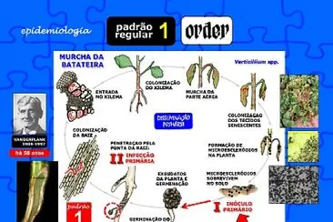 fitopatologia