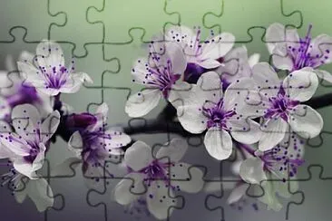 Foto jigsaw puzzle