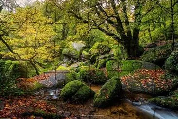 Forêt de Huelgoat Bretagne