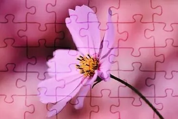 Foto jigsaw puzzle