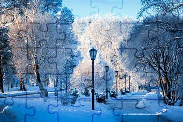 some park jigsaw puzzle