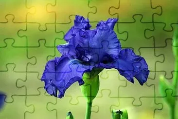 Toy jigsaw puzzle